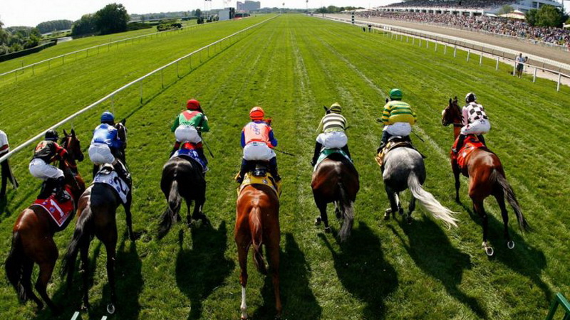 pferdewetten online anbieter f&uuml;r online pferderennen wetten