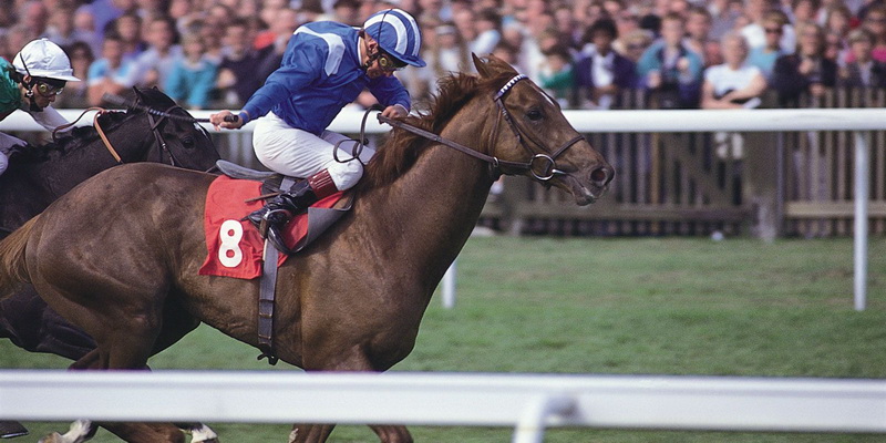 beste pferderennen wettquoten und pferdewetten strategie f&uuml;r pferderennen online wetten