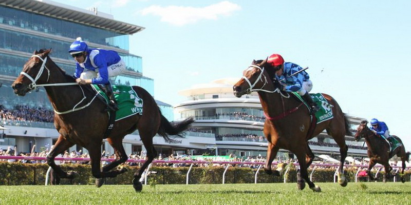 wetten bei pferderennen wettseiten und wettquoten pferderennen wette